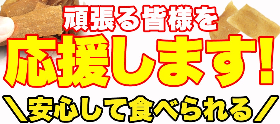 送料無料(沖縄・離島への配送不可)】ダイエット中のおやつに!!【お徳用