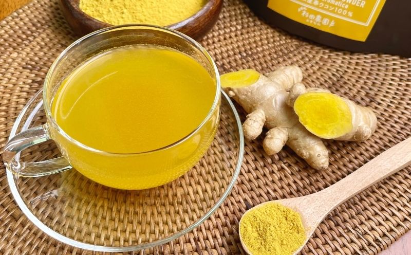 《 春ウコン粉末 パウダー100g 》希少な自然栽培・沖縄県産/農薬・肥料・動物性堆肥不使用