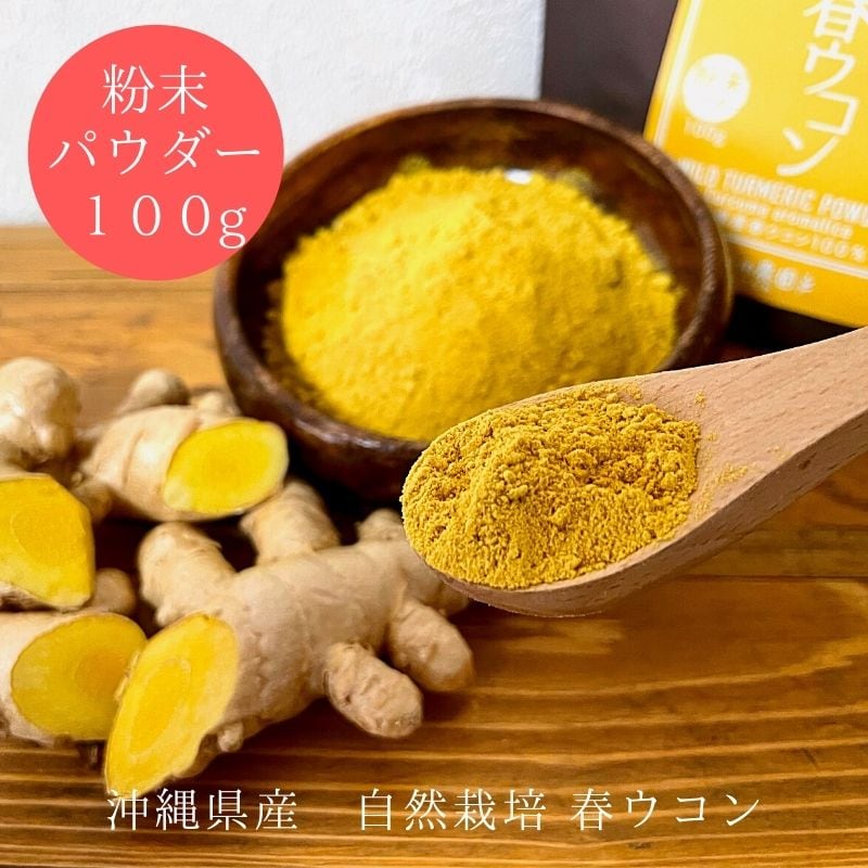 《 春ウコン粉末 パウダー100g 》希少な自然栽培・沖縄県産/農薬・肥料・動物性堆肥不使用