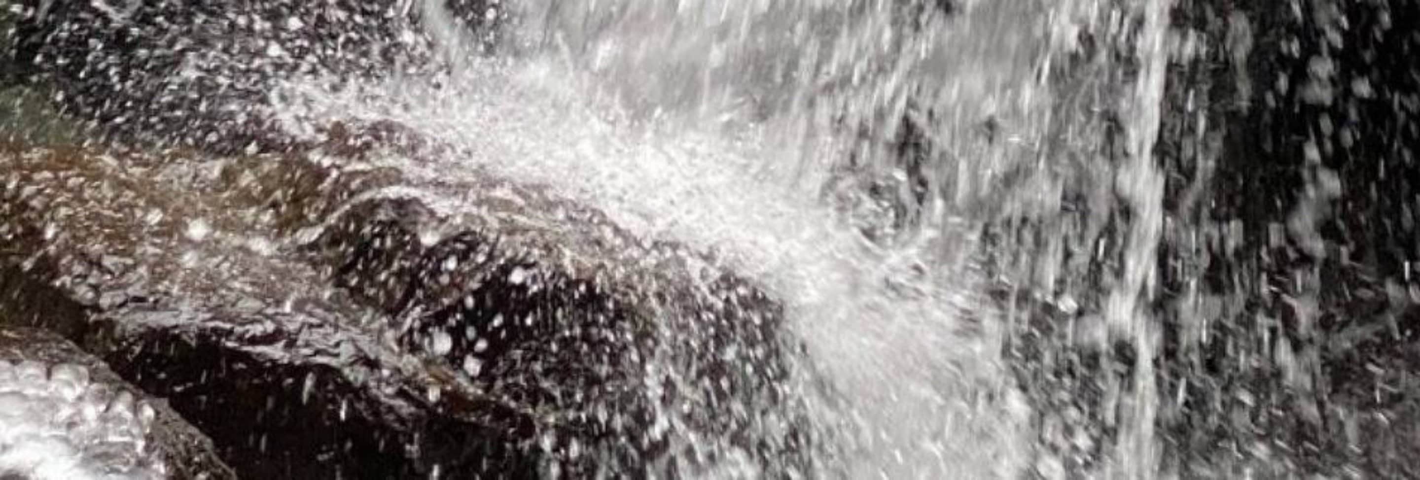 宇宙とつながるシンギング・リン