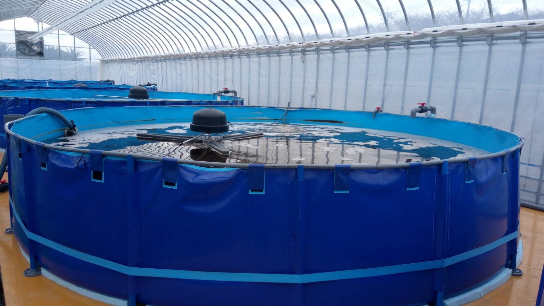 陸上養殖のご相談は「株式会社Seaside」に！