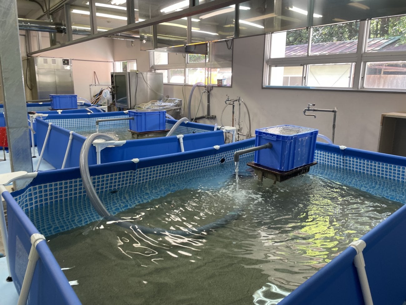 廃校を活用した陸上養殖