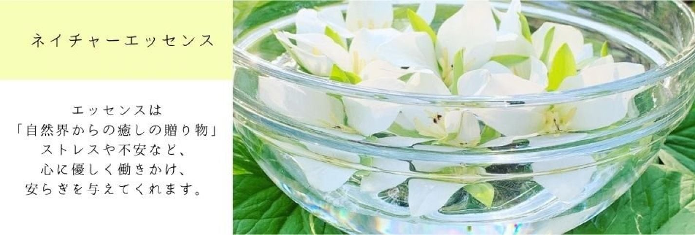 フラワーエッセンス
