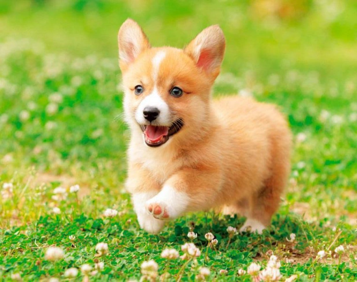 ここにもタイトル