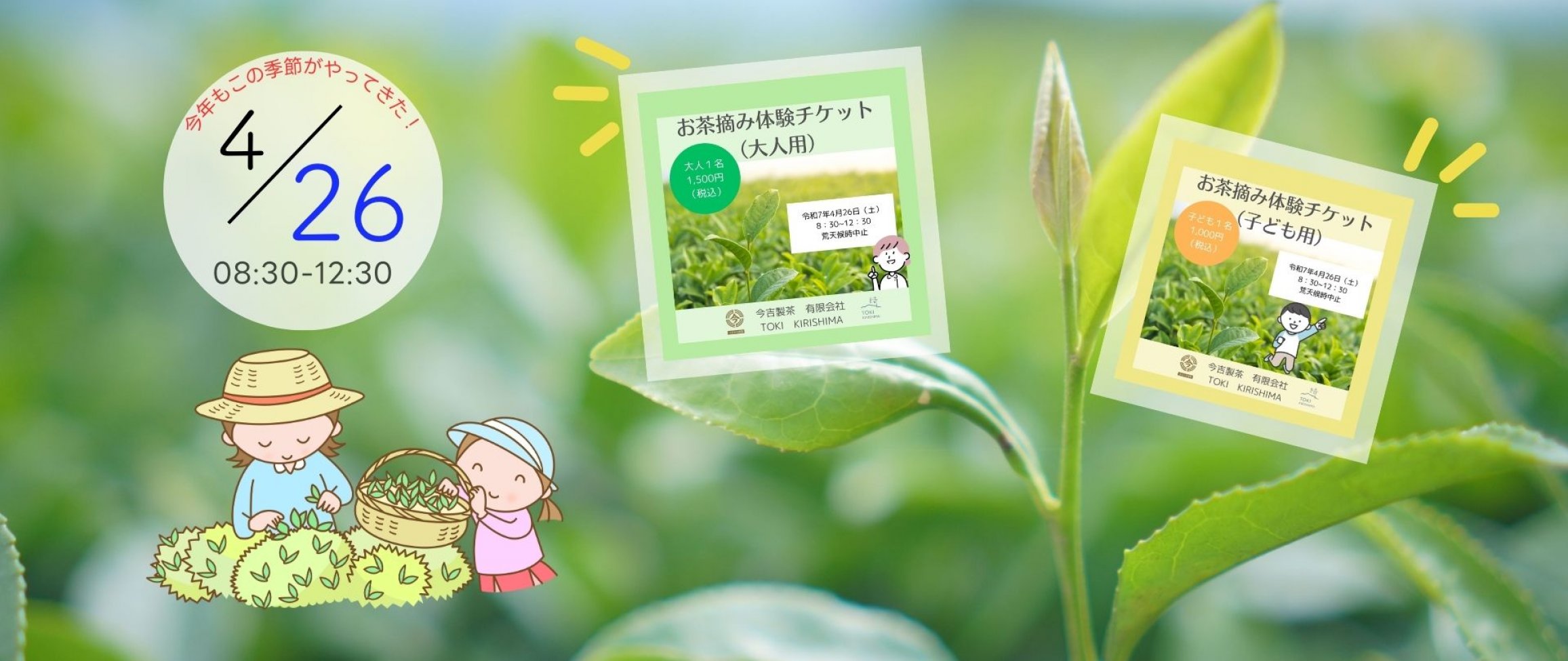 2025年お茶摘み体験参加者募集中！