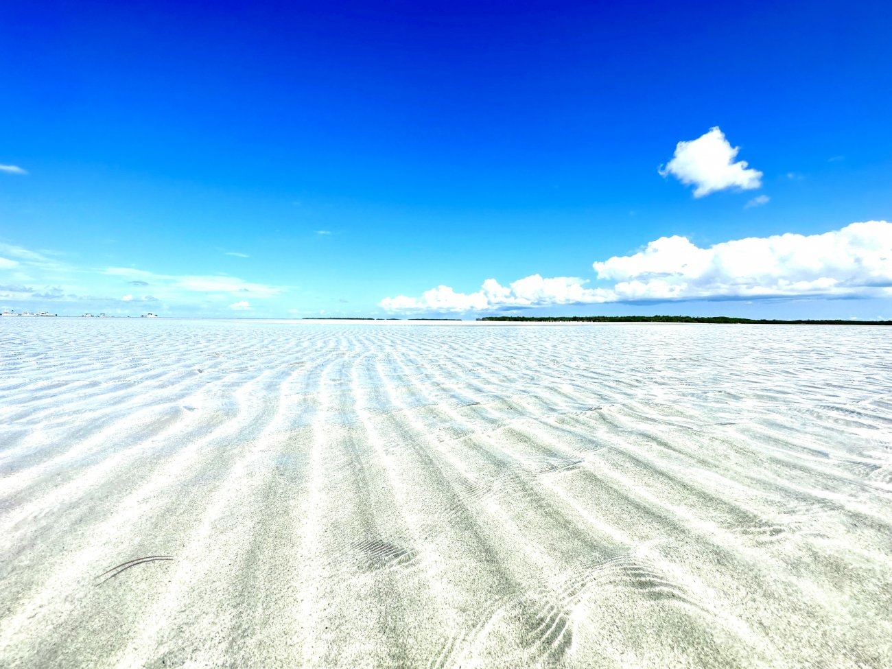 全力で自分を幸せにしよう！