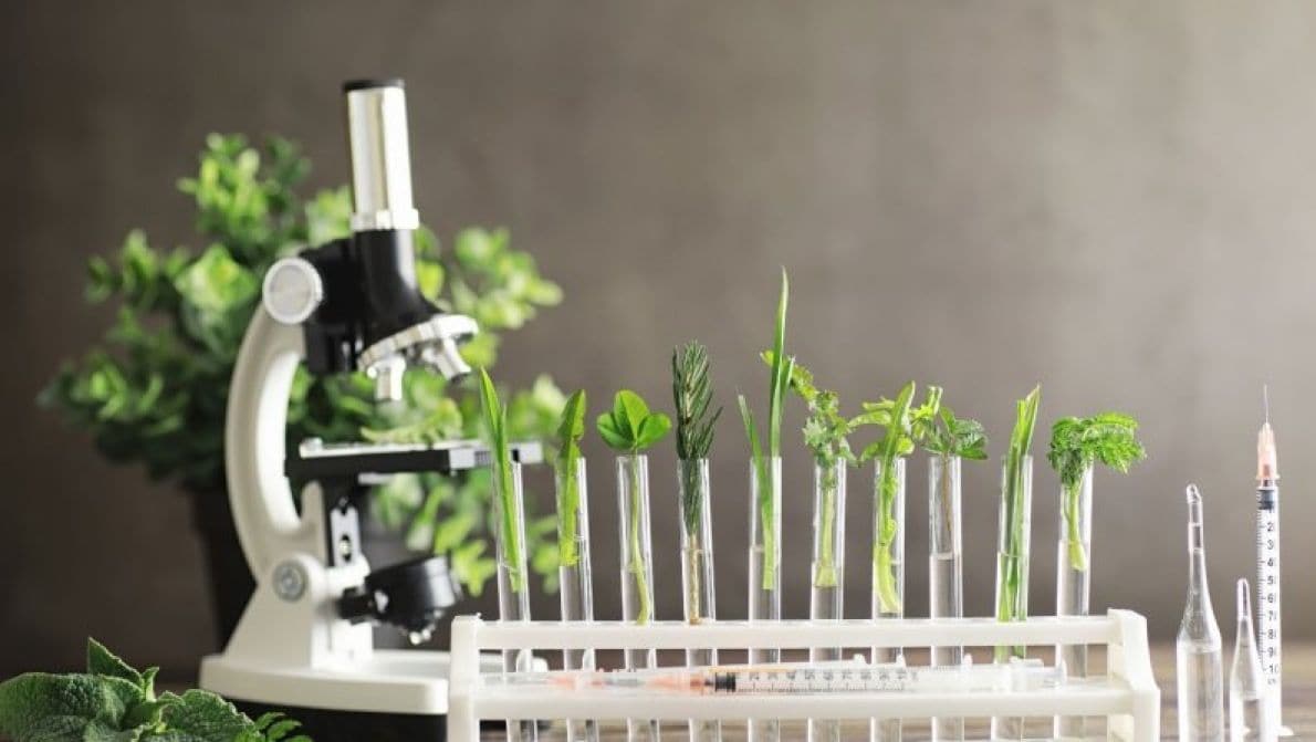 産前産後ケア・子育て応援Labo