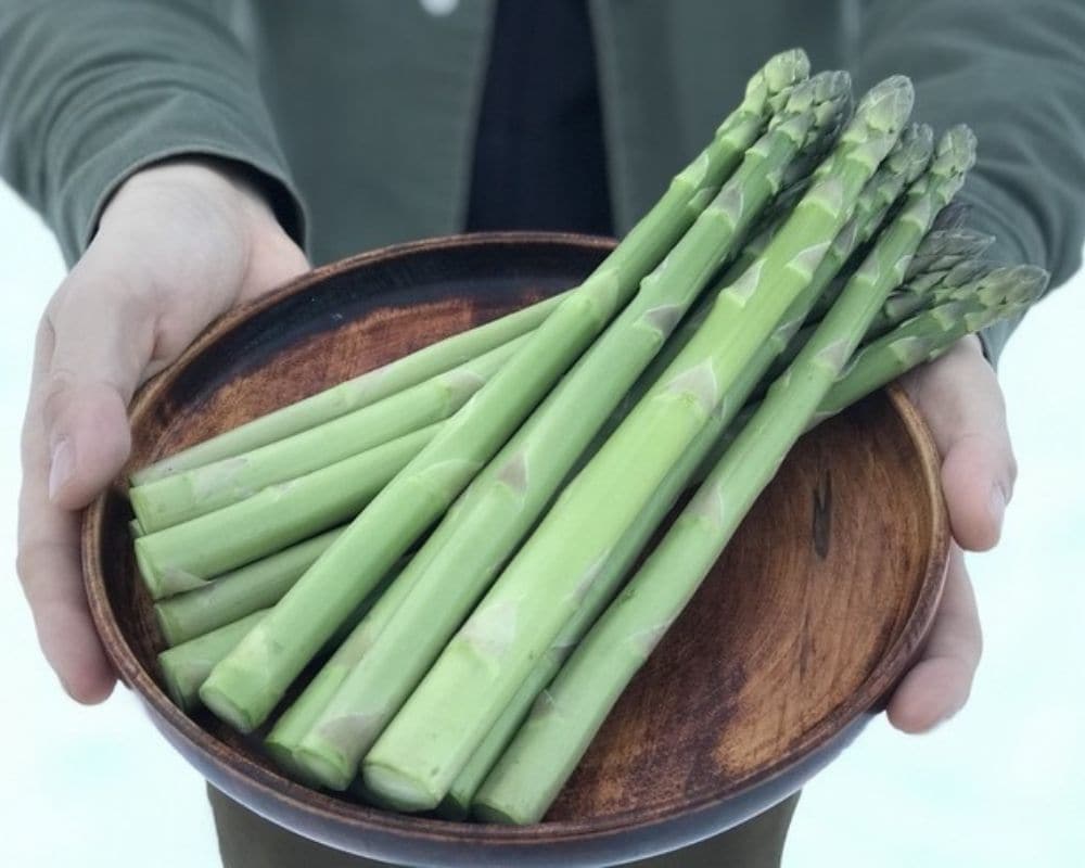 雪アスパラ®︎グリーン