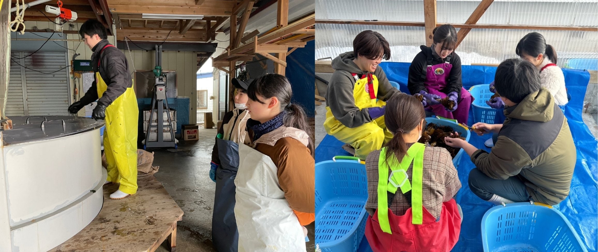 漁業体験のできる民泊　渚泊