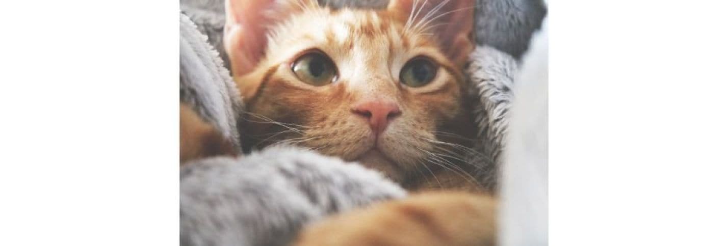 痛みのない身体に優しい治療