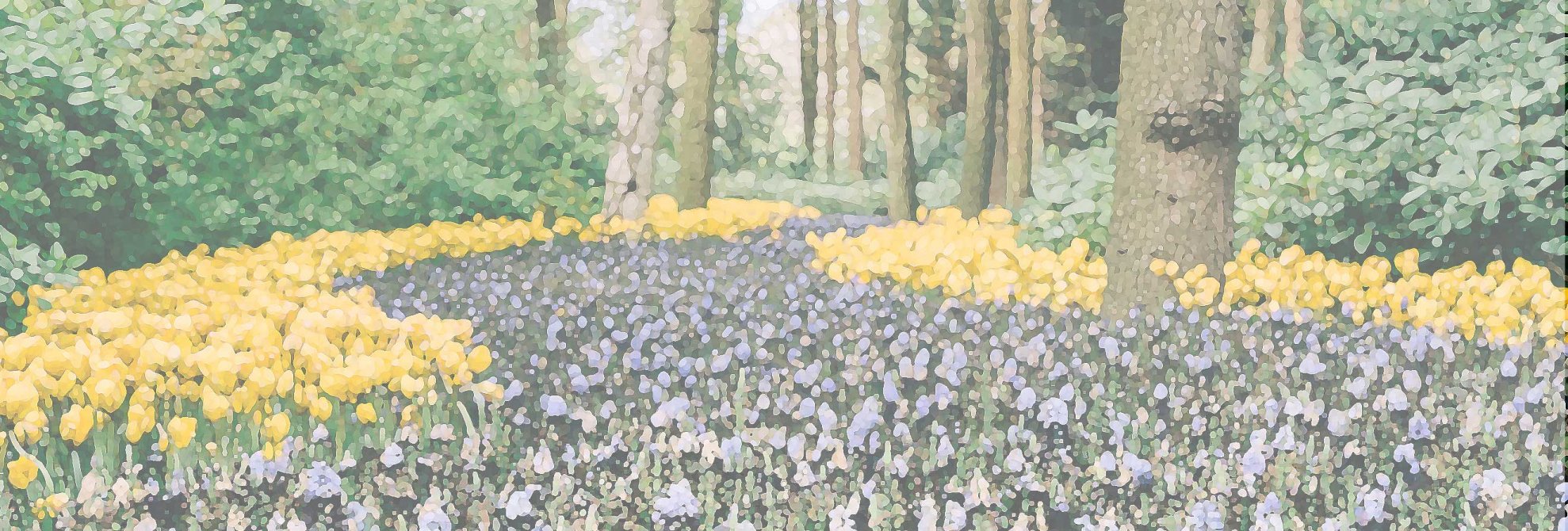 Oriental medicine  東洋医学