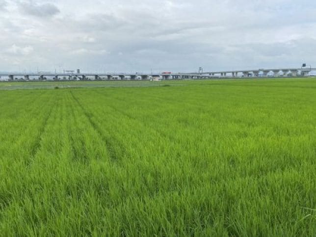 ひかり餅中村本舗