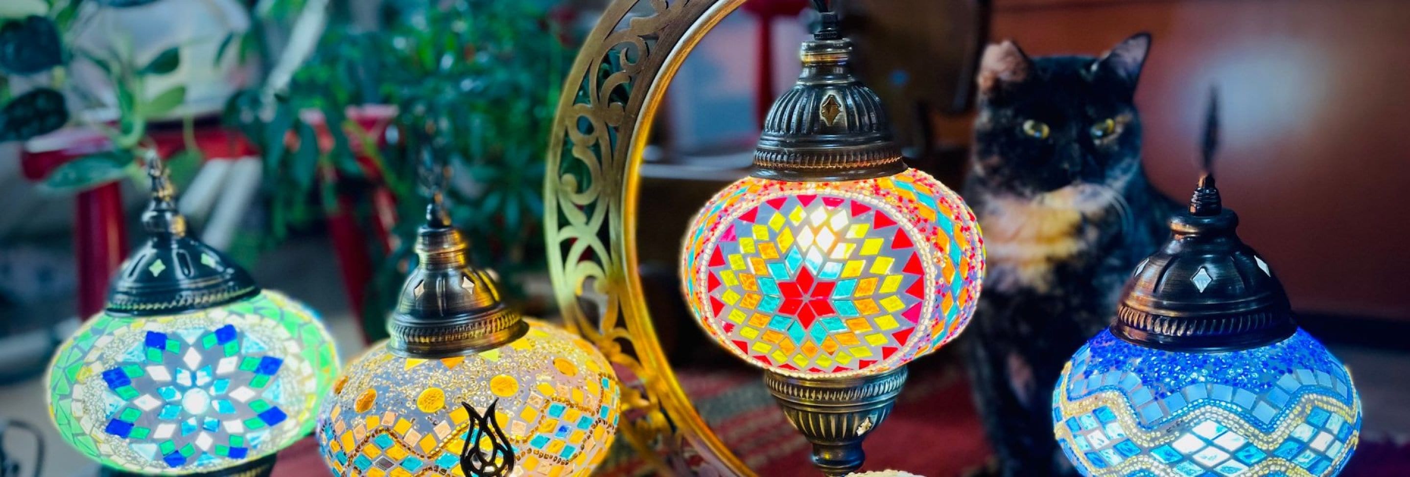 ランプと保護猫活動