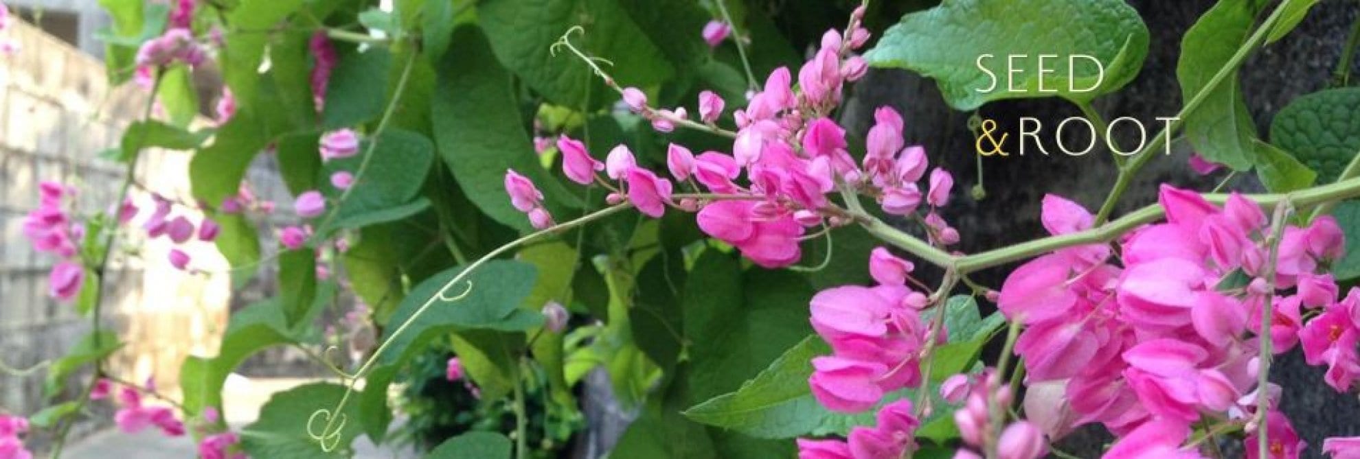 沖縄の手しごとやさん／セレクトショップ・ECサポート・チラシ・名刺・販促デザイン