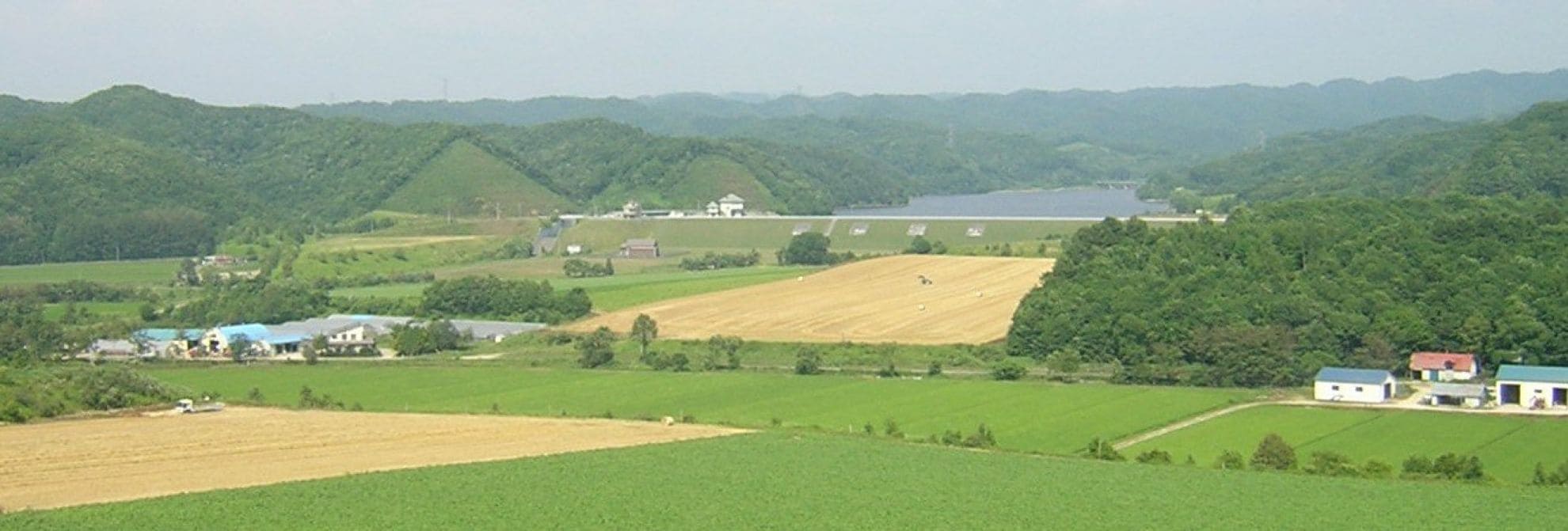 ヤマカワプログラムと菌ちゃん農法