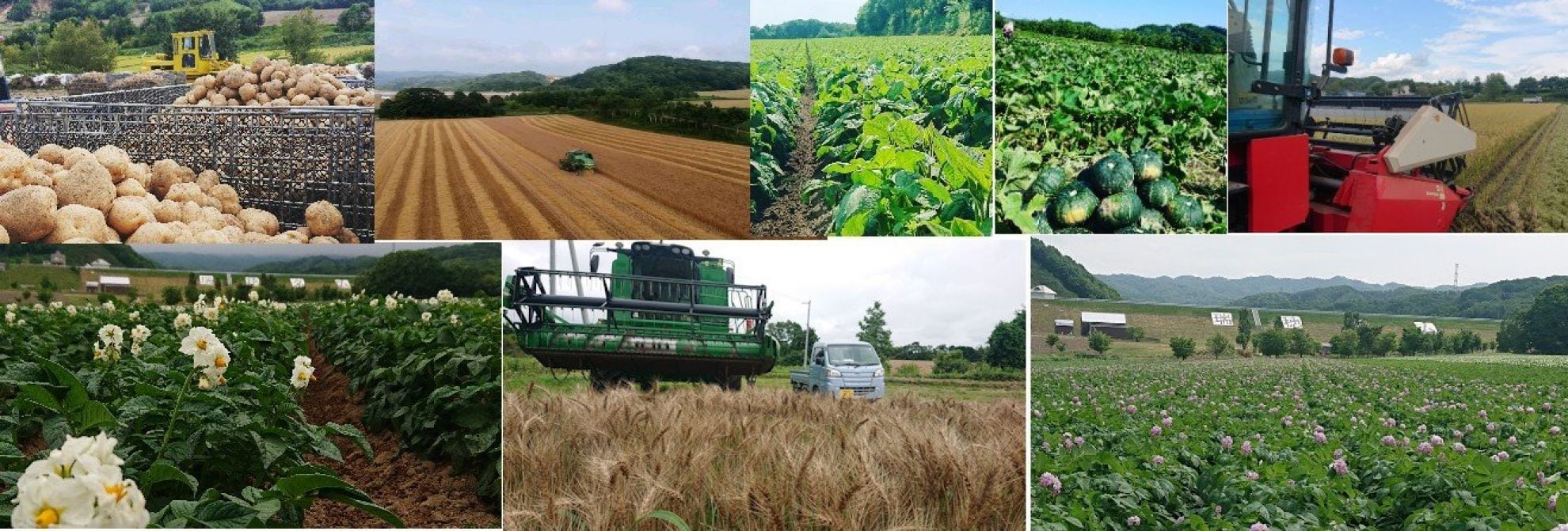 いろんな作物作ってます