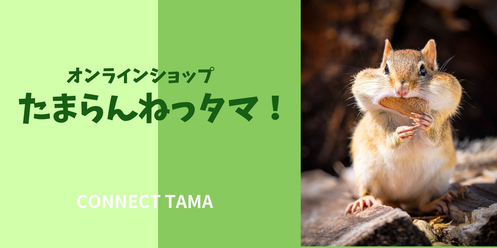 たまらんねっタマ！