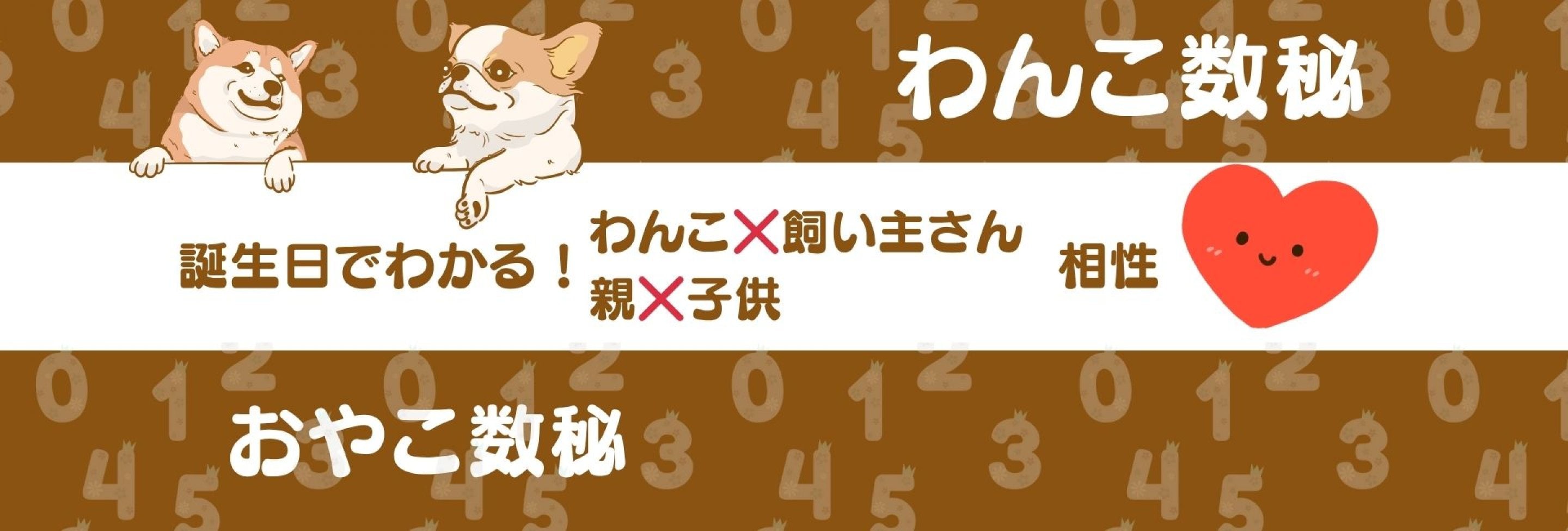 わんこ数秘、おやこ数秘
