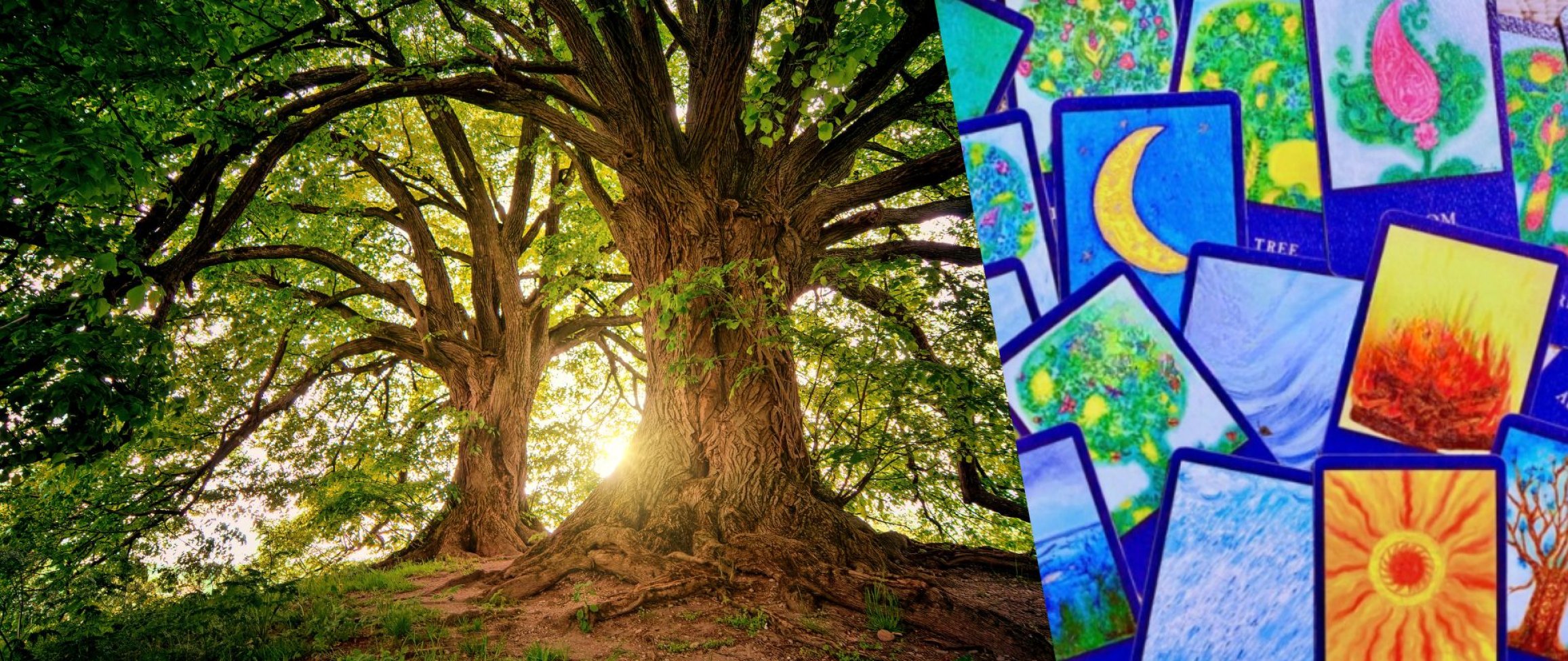 ライフツリーカードコーチング