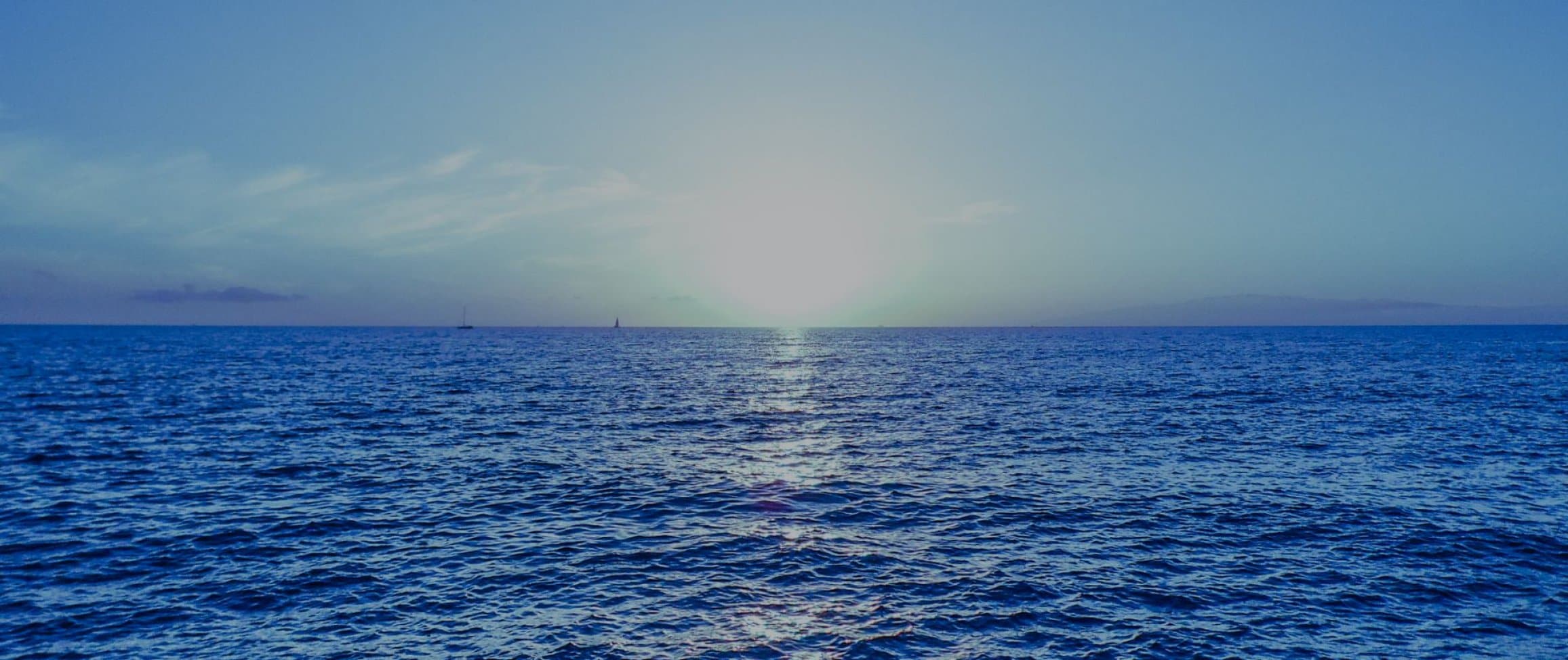 クルーズシェア会