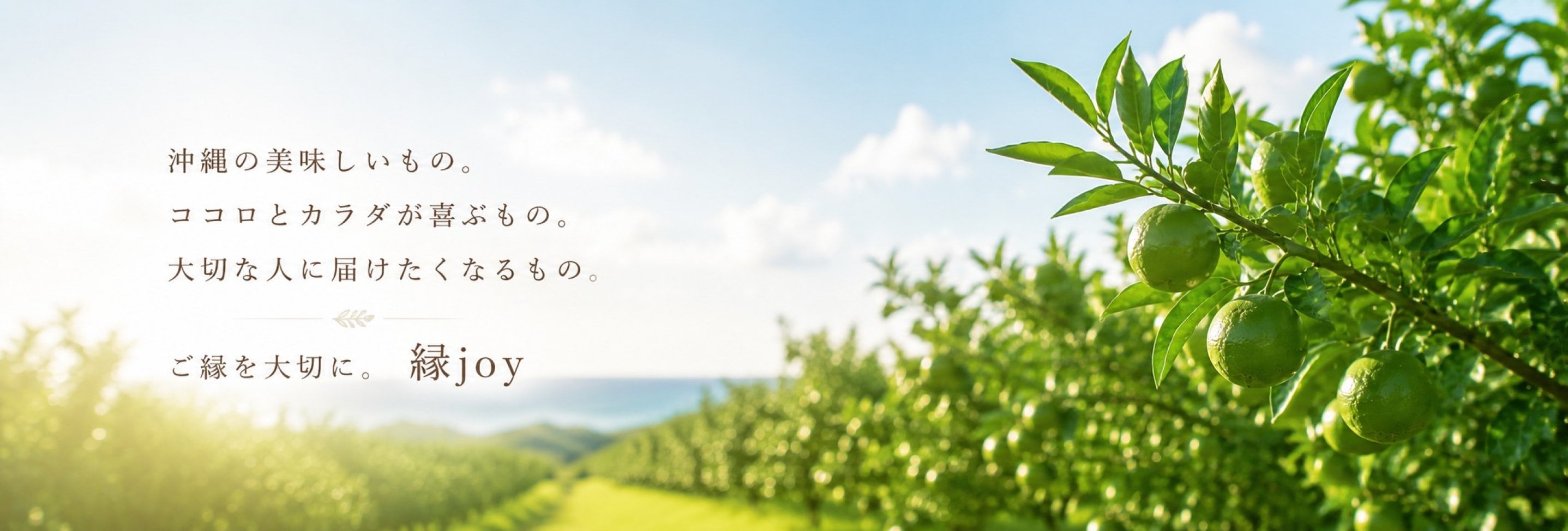縁joy