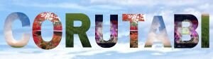 観光体験マッチングサイト  CORUTABI(コルタビ)