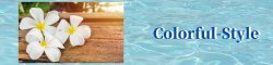 Colorful−Style　