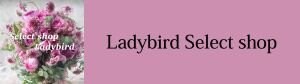 Ladybird/レディーバードセレクトショップ