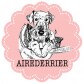 AIREDERRIER(エアデリア)