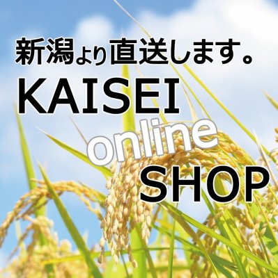かいせいWeb-shopツクツク店