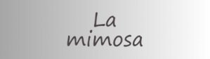 アクセサリーのオンラインショップ　La ｍimosa　ラミモザ