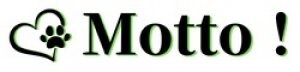 Motto!