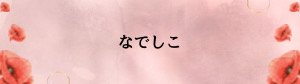 ZUMBA®︎サークルなでしこ