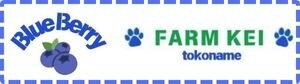【愛知県常滑市】ブルーベリーファームKEIとこなめ