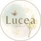 Lucea（ルーチェア）みな│経理に特化したオンライン秘書