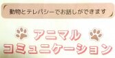 沖縄No.1のアニマルコミュニケーター「なりちゃん」オンライン全国対応のアニコミ（動物通訳士）