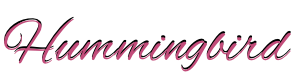 hummingbird