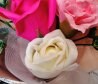 la felice