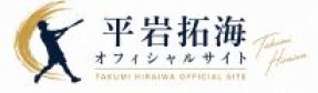 平岩拓海オフィシャルサイト｜姫路の野球教室・親子野球プロジェクト